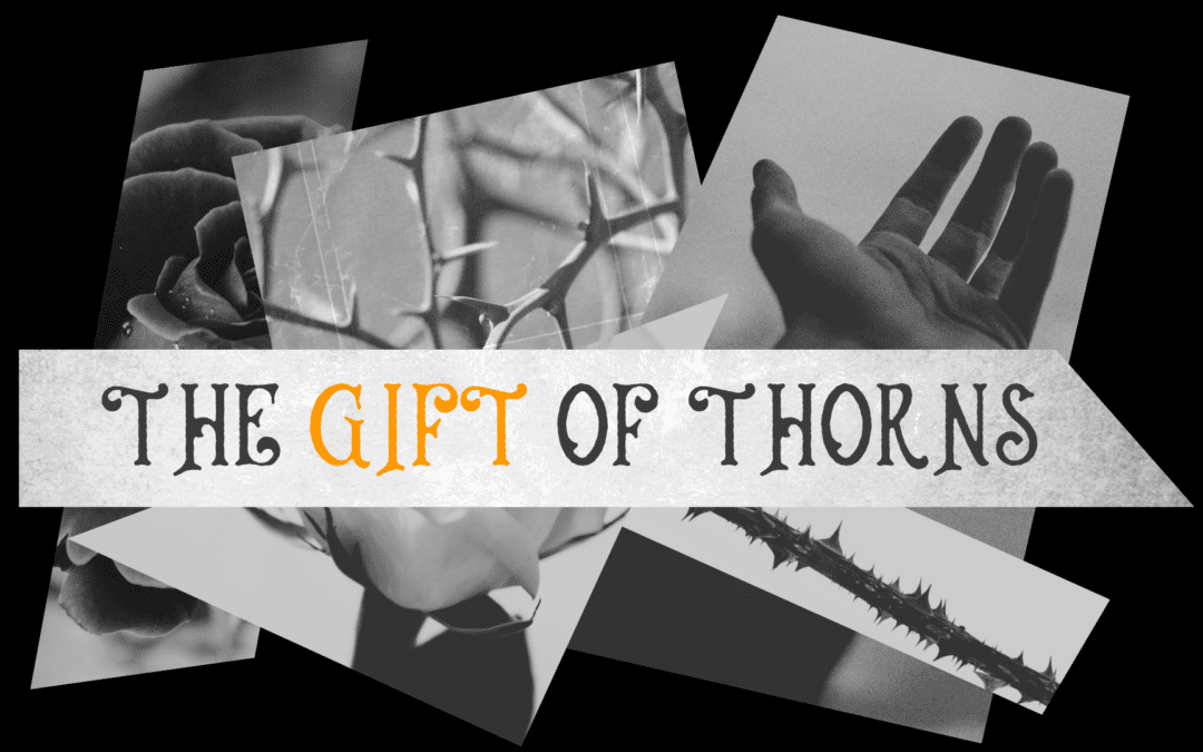 The Gift of Thorns: Psalm 37 – 07.21.24
